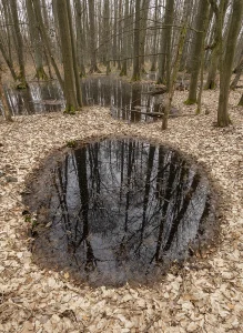 Láp Lengyelországban