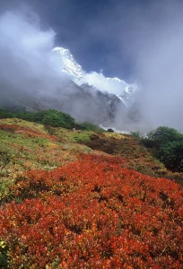 Mera trek, Nepál