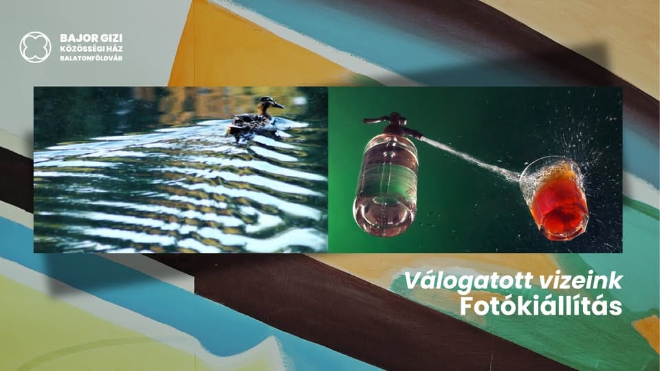 Válogatott vizeink