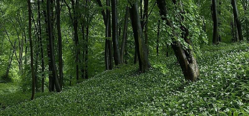 Fényecset fotóklub: Táj – fotókiállítás