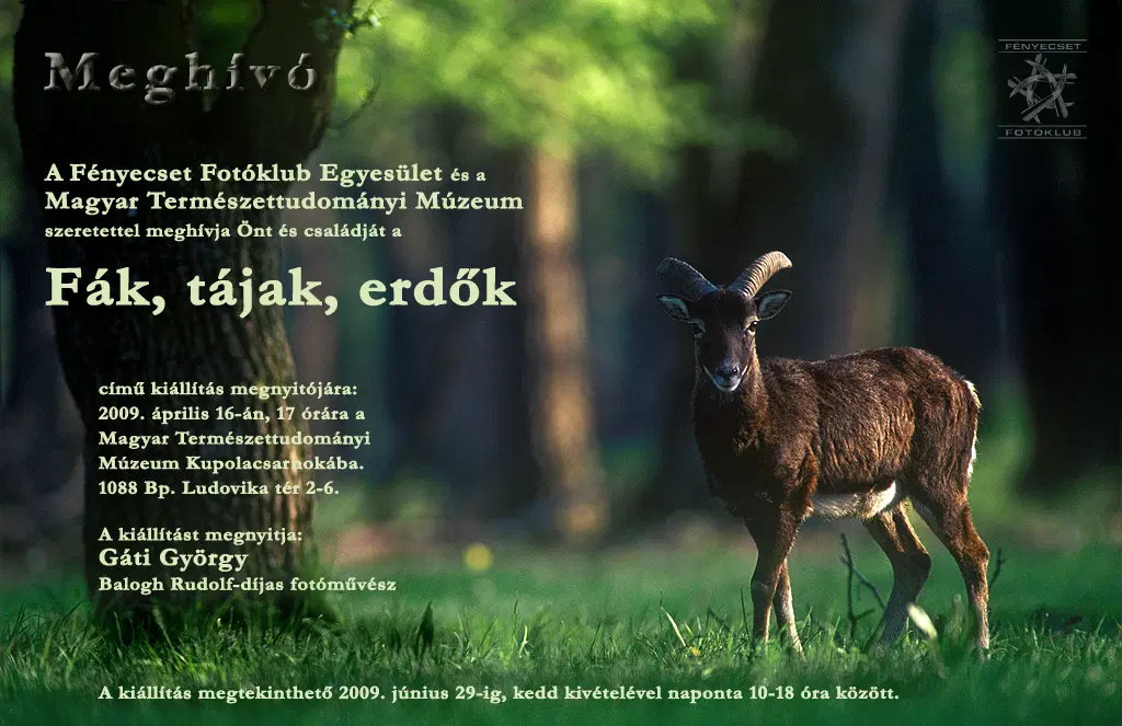 Fák, tájak, erdők - A Fényecset Egyesület fotókiállítása