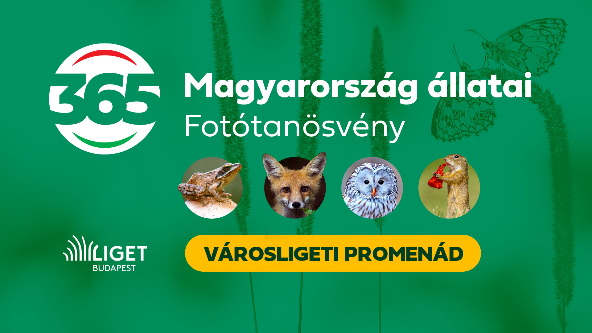 Magyarország állatai fotókiállítás